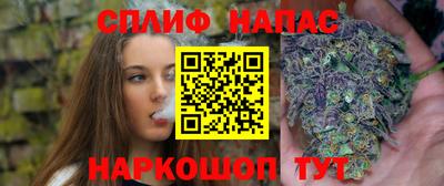 jwh Будённовск