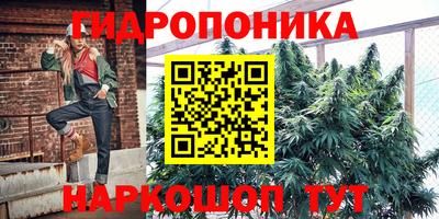 jwh Будённовск