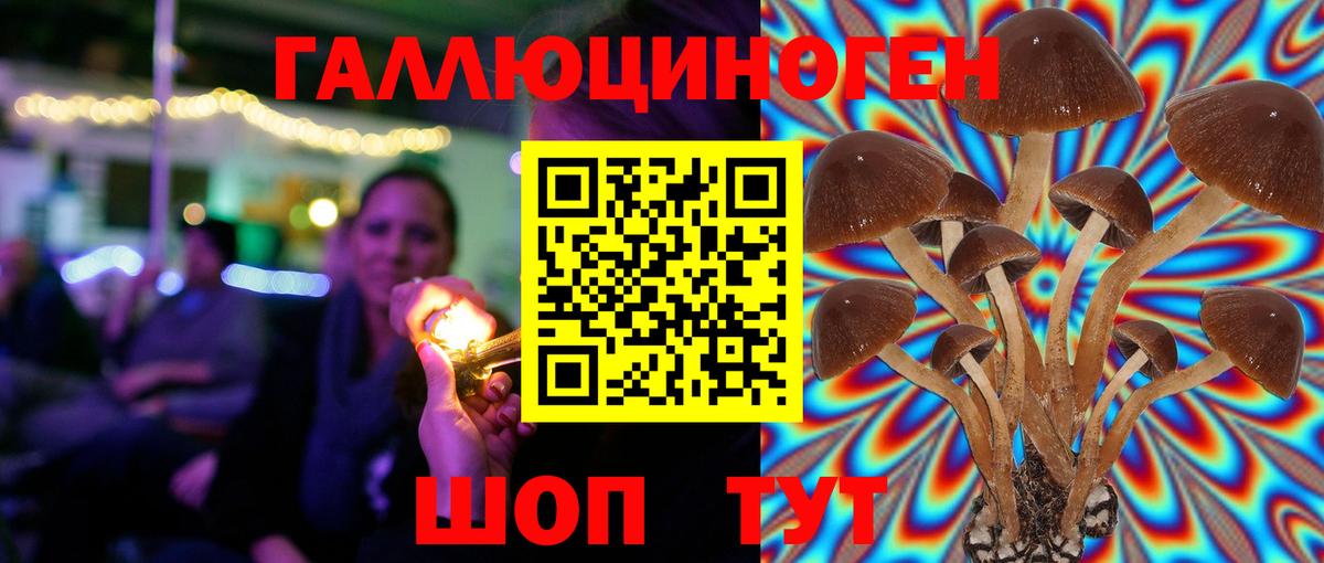 Саянск  Галлюциногенные грибы Magic Shrooms  как найти закладки  Вход с VPN 